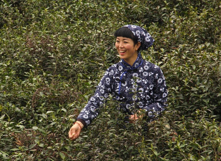 鲸梦热门5